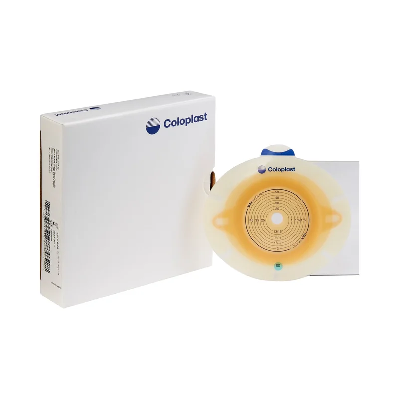 carewell-293526