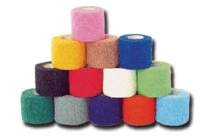 carewell-302432