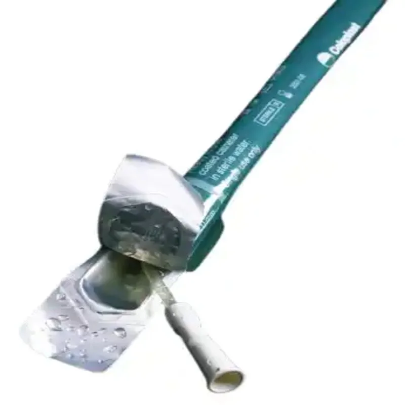 carewell-306513
