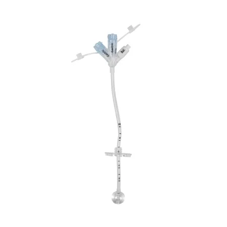 carewell-307844