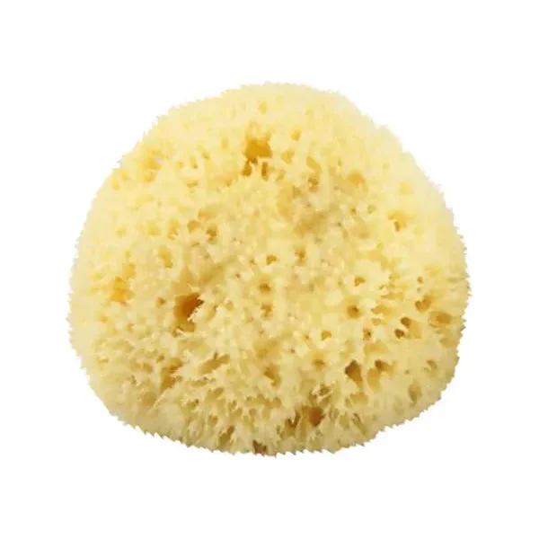 pasteurpharmacy1399315