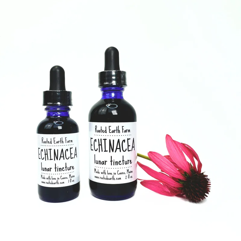 pasteurpharmacy1521543