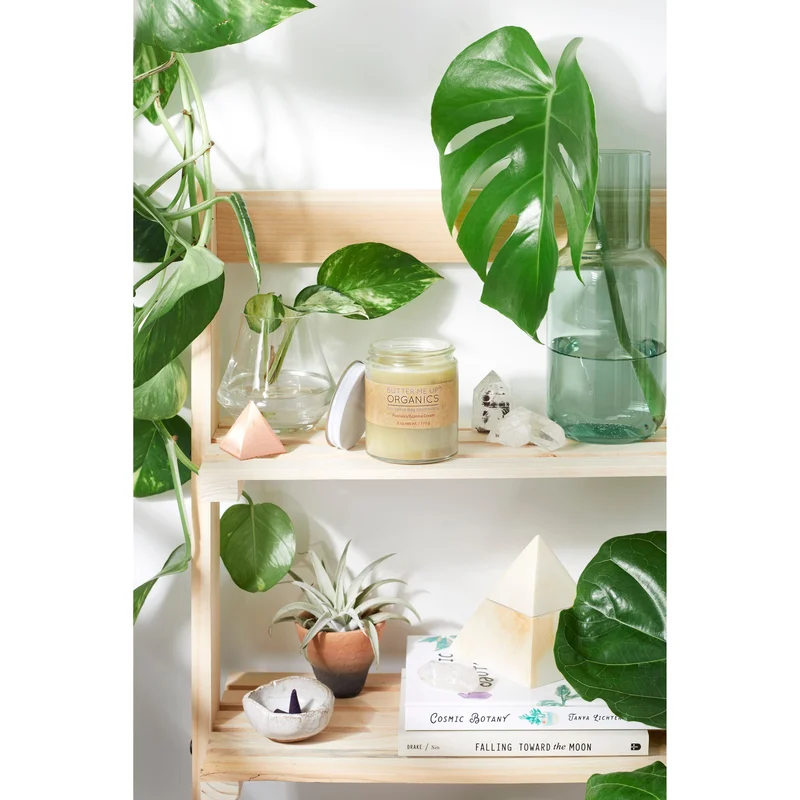 pasteurpharmacy2372334