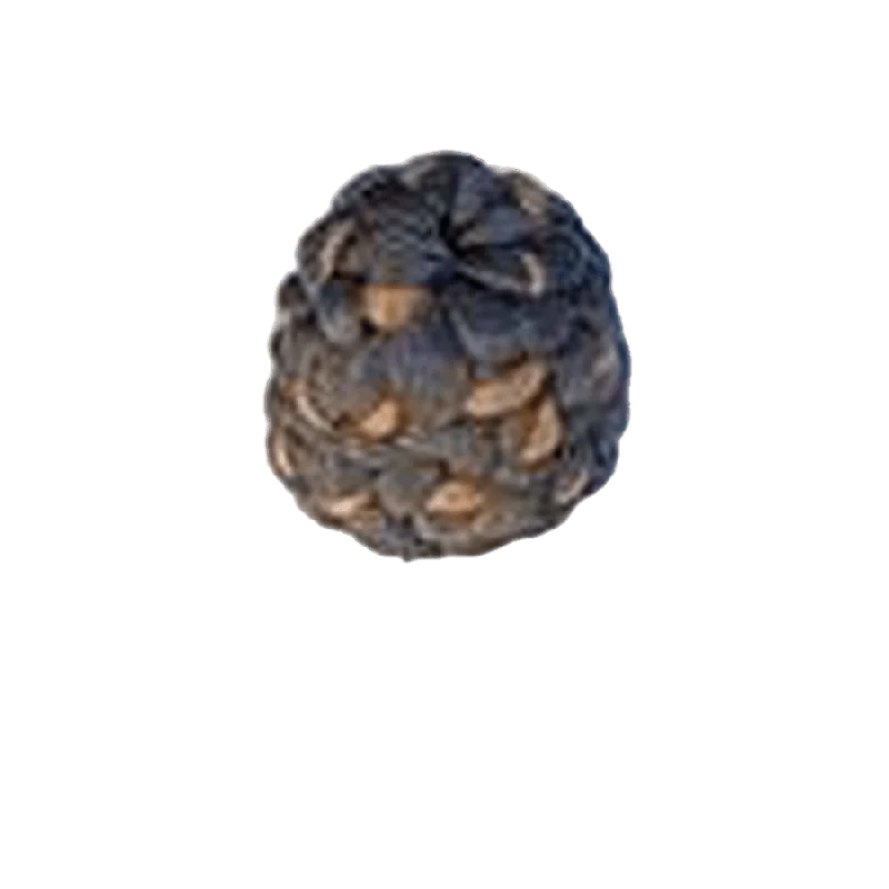 pasteurpharmacy5461327