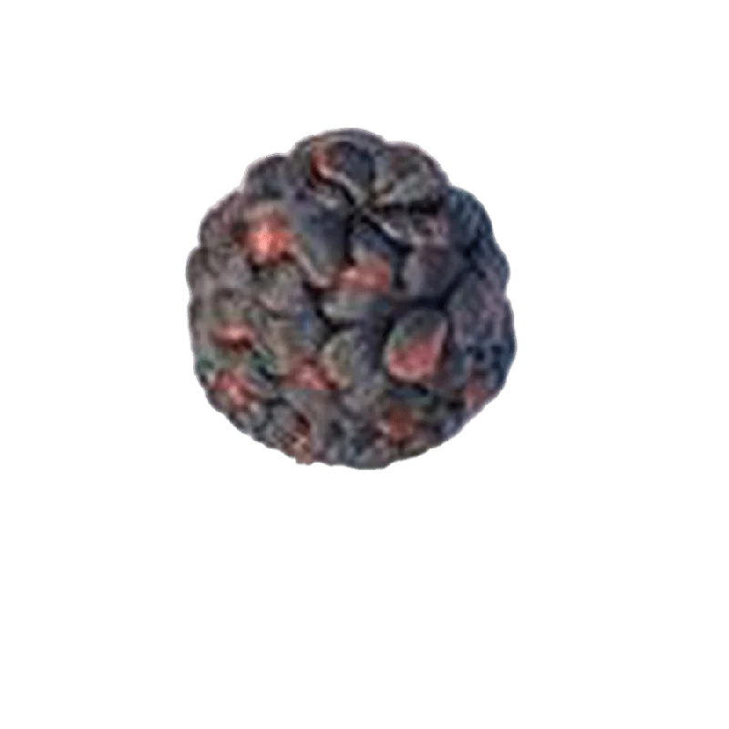 pasteurpharmacy6277132