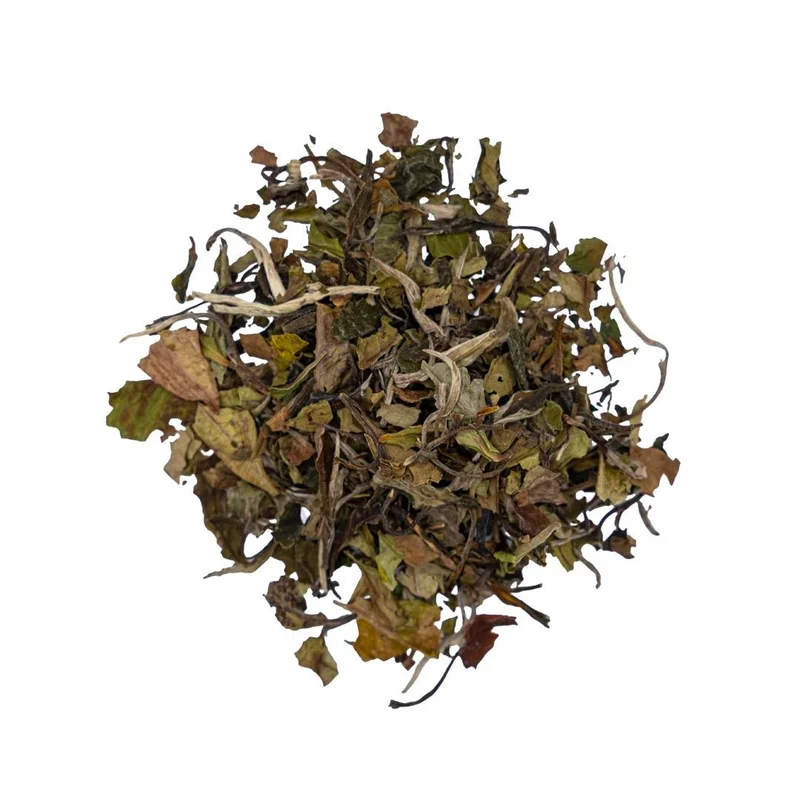 sampsonecoshop351307