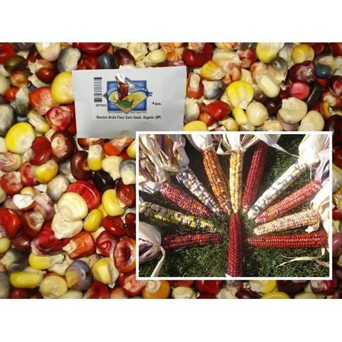 truefoodsmarket1373266