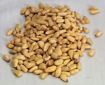 truefoodsmarket1384135