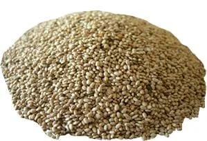 truefoodsmarket1385703