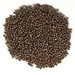 truefoodsmarket2407594