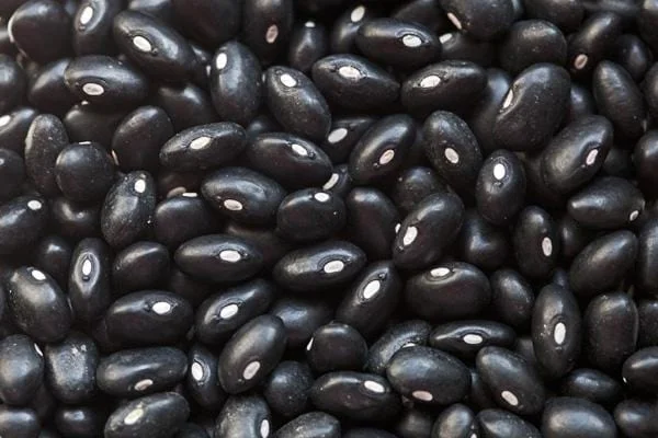 truefoodsmarket2440763