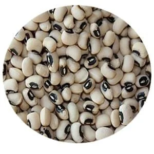 truefoodsmarket2440995