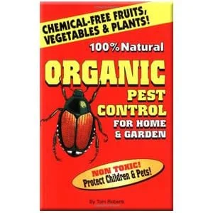 truefoodsmarket2441237