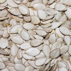 truefoodsmarket2444720