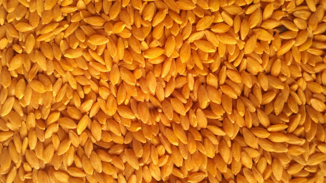 truefoodsmarket2445003