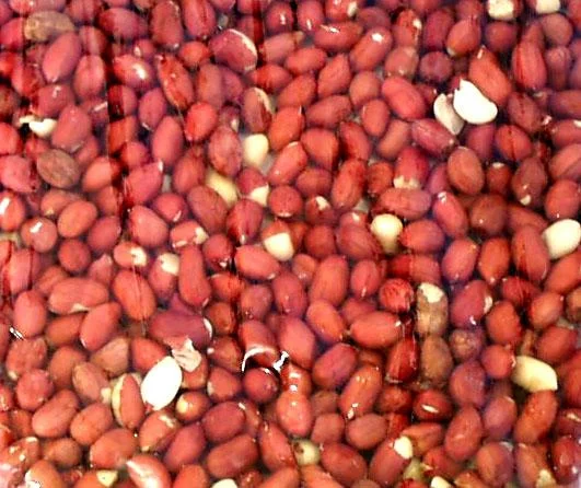 truefoodsmarket2479872