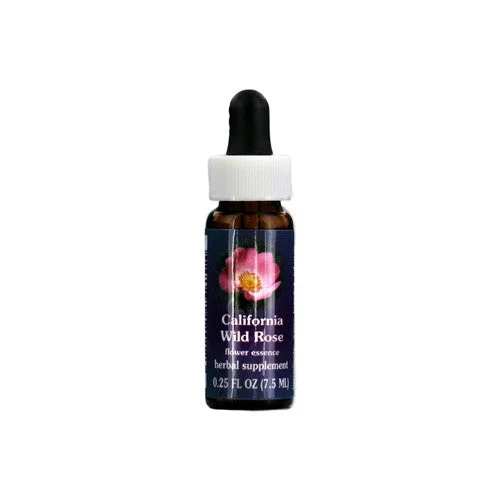 wellnessbetter1464701
