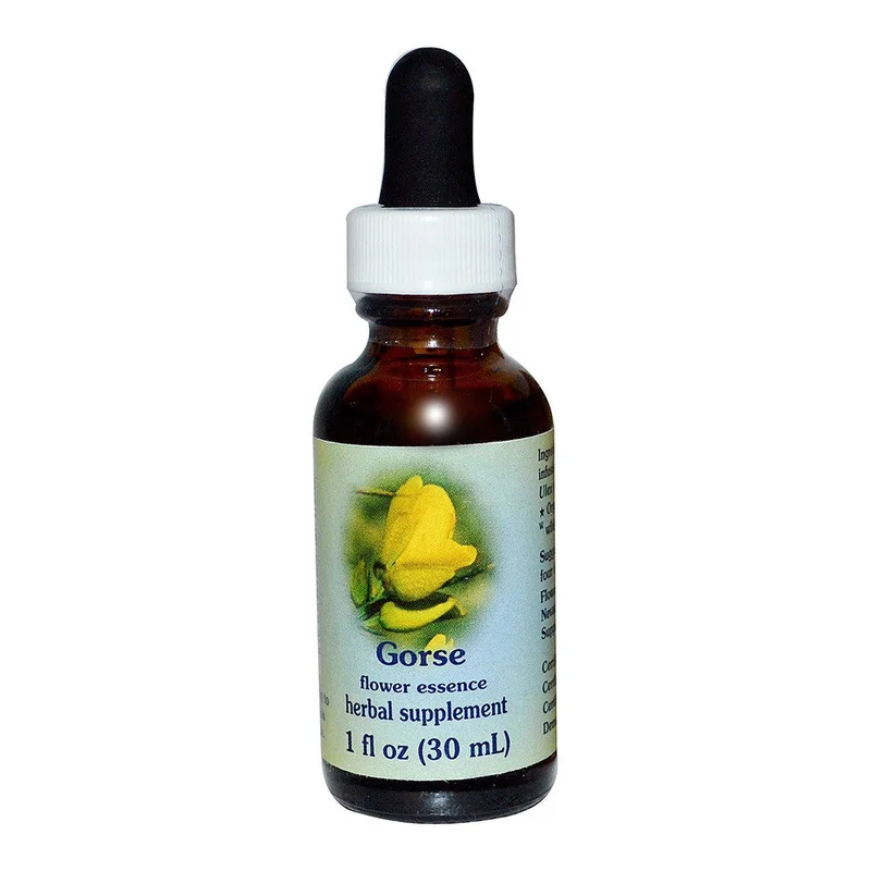 wellnessbetter1466038