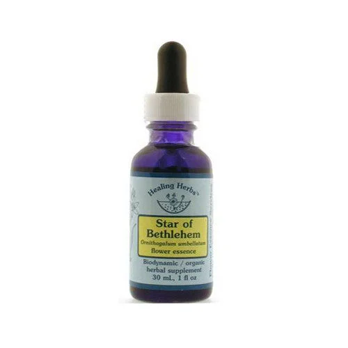 wellnessbetter1468166
