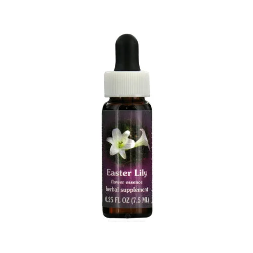 wellnessbetter3428159