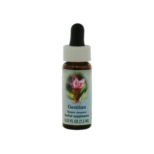 wellnessbetter3428196