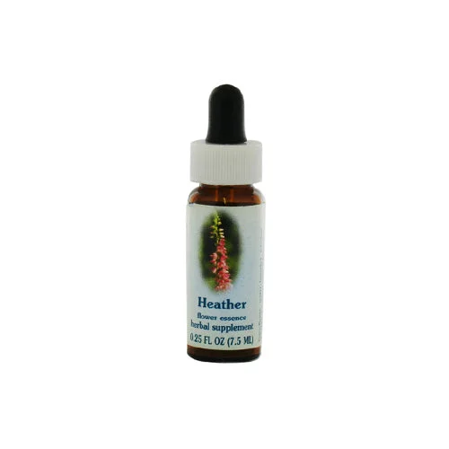 wellnessbetter3428226